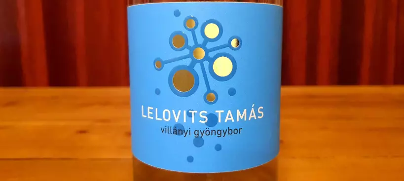 Lelovits Tamás Pincéje: Gyöngybor 2020 című cikk borítóképe