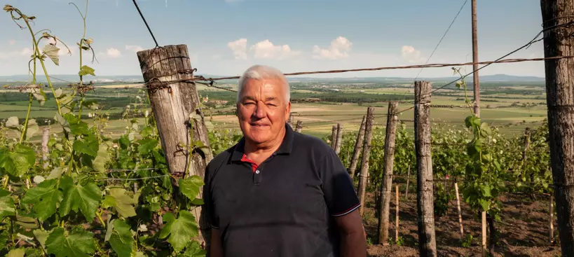 A bornak békesség kell című cikk borítóképe
