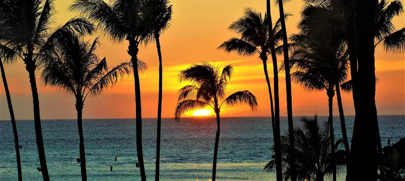 Akkor Hawaii! című cikk borítóképe