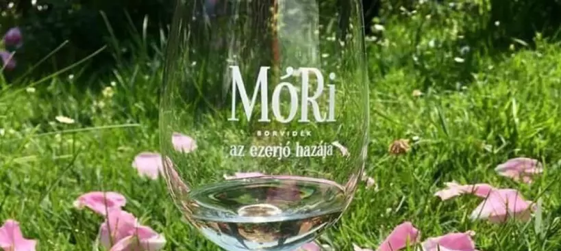 Május 16-a lett a Nemzetközi Ezerjó Nap! című cikk borítóképe