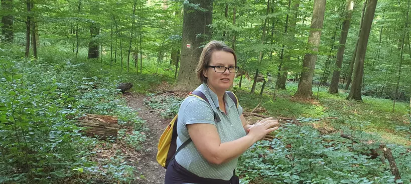 A gombák csodálatosak! című cikk borítóképe